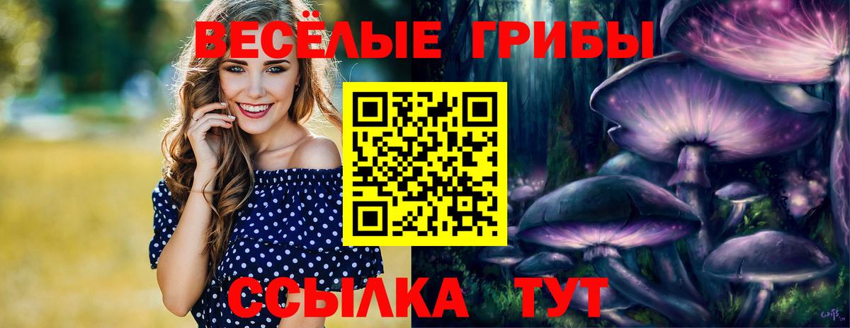 Псилоцибиновые грибы мицелий  как найти наркотики  Вход с VPN  Отрадный  Галлюциногенные грибы GOLDEN TEACHER 